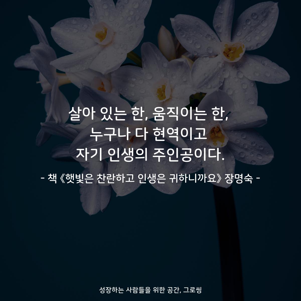 살아 있는 한, 움직이는 한,
누구나 다 현역이고
자기 인생의 주인공이다.