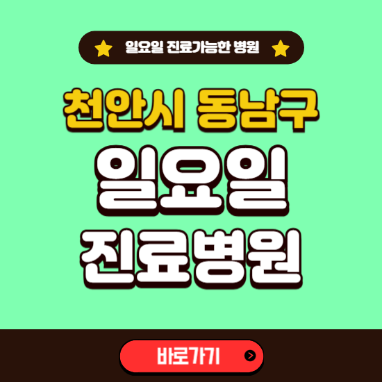 천안시 동남구 일요일 진료 가능한 병원 ❘ 주말 문여는 곳 총정리 (소아과, 내과, 안과, 치과, 피부과, 정형외과, 산부인과)