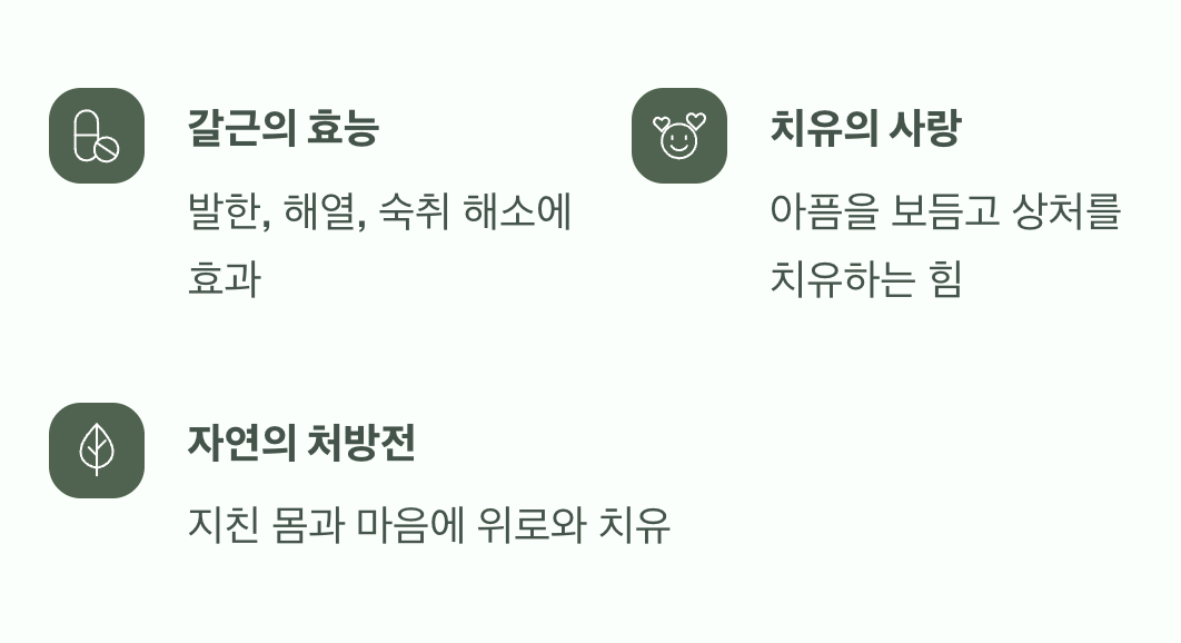 몸과 마음을 치유하는 힘