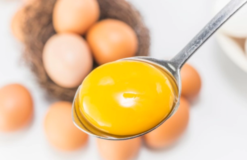 난유 효능 부작용 및 난유 만드는 법 정리