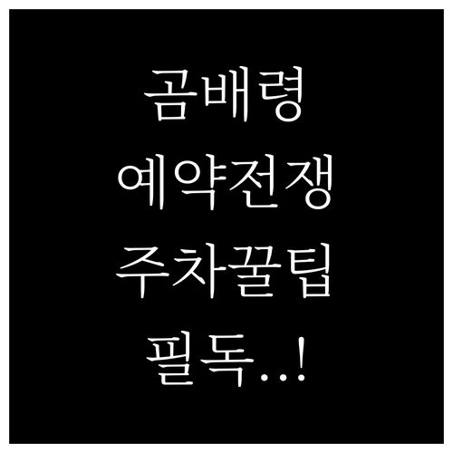 곰배령 예약 오픈 시간과 주말 방문객..