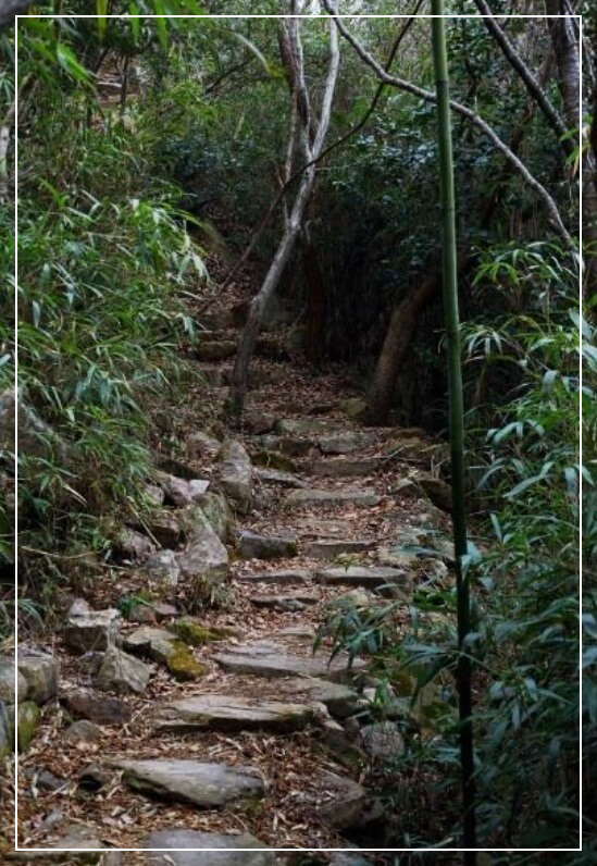 해남 가볼만한곳 베스트10 달마산 달마고도 트레일