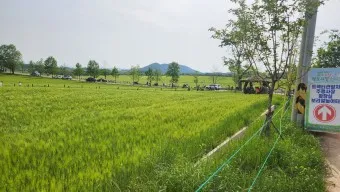 고창 맛집 베스트10 숨겨진 나만 아는 맛집_26