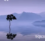 지록위마 뜻