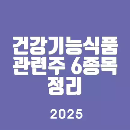 건강기능식품 관련주 6종목 정리