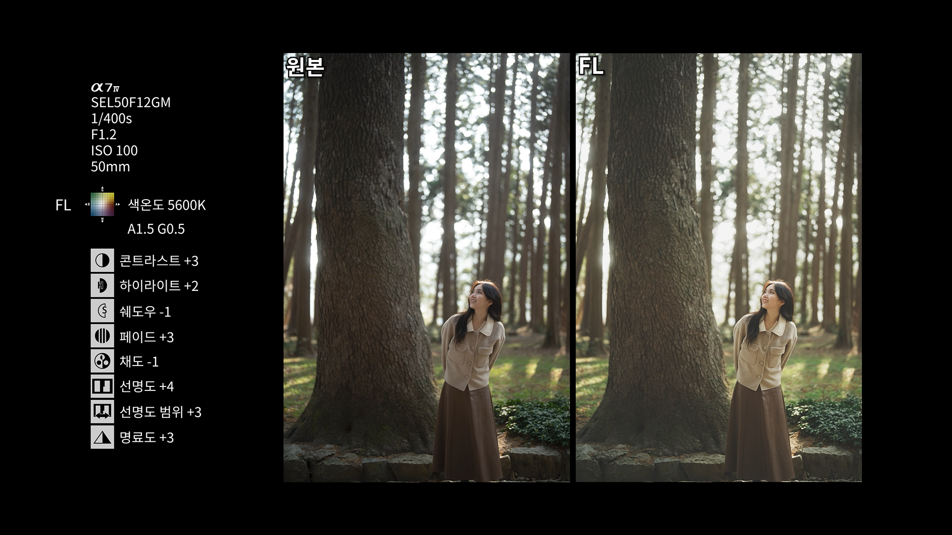 야외 인물 사진 FL, 원본 비교