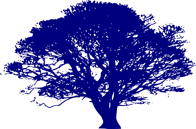 에너지 플러스 하우스: 빈집에서 시작하는 친환경 실험