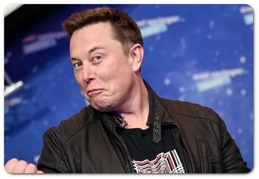 일론머스크가 소유한 회사들