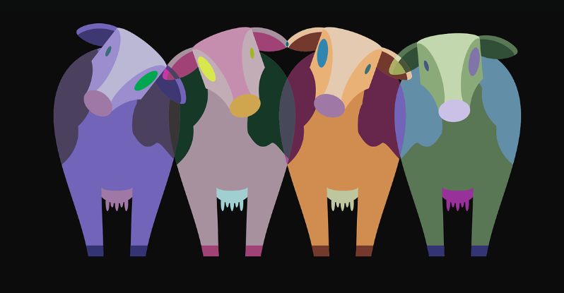 비건 제품 가격 비교: 정말 더 비쌀까?