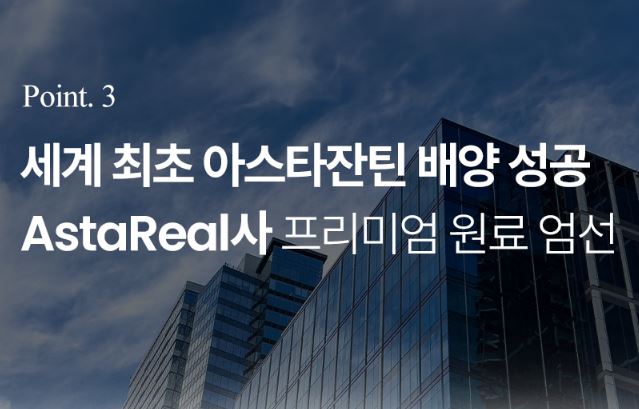 아스타잔틴-솔티스-프로텍션-프로-S2