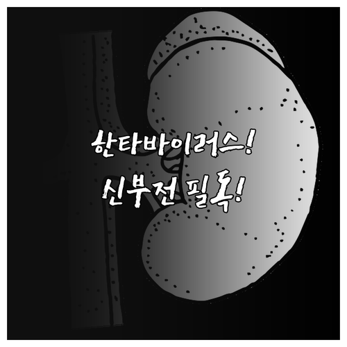 한타바이러스가 일으키는 급성 신부전 ..
