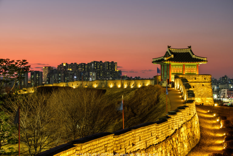 수원 트래킹코스