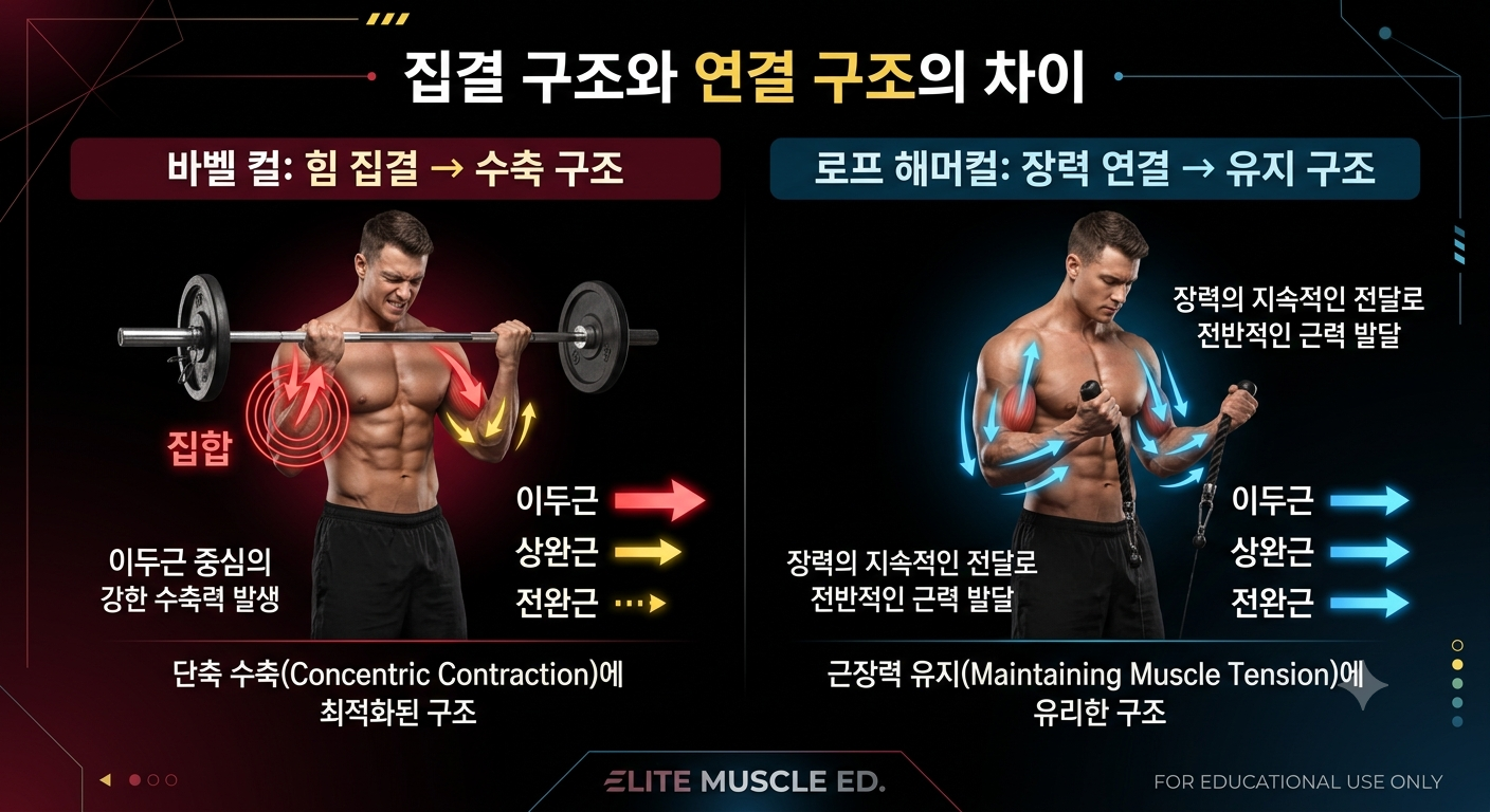 집결 구조와 연결 구조의 차이
