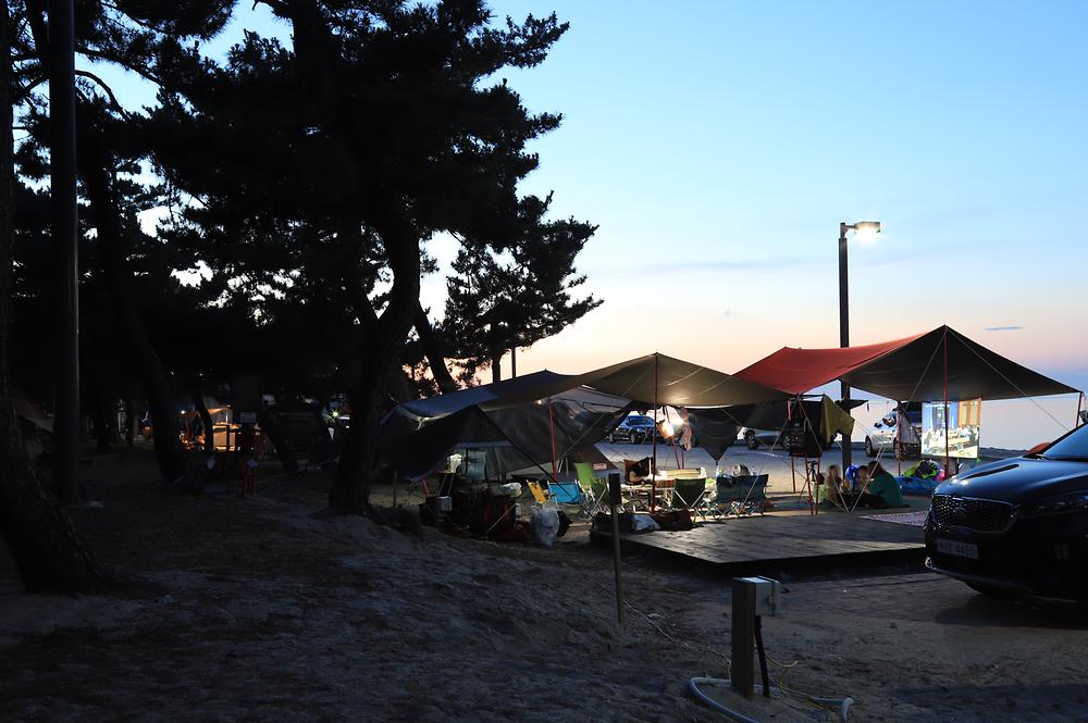 솔향기캠핑장

주소 강원 강릉시 연곡면 해안로 1282-10