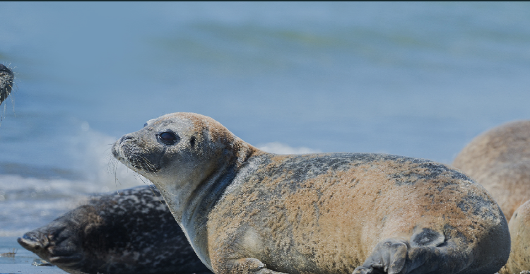 사천 아쿠아리움