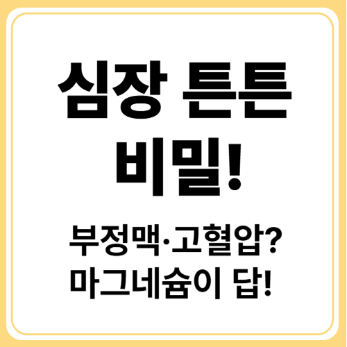 심장을 지키는 마그네슘 : 심혈관 보호 핵심 영양소