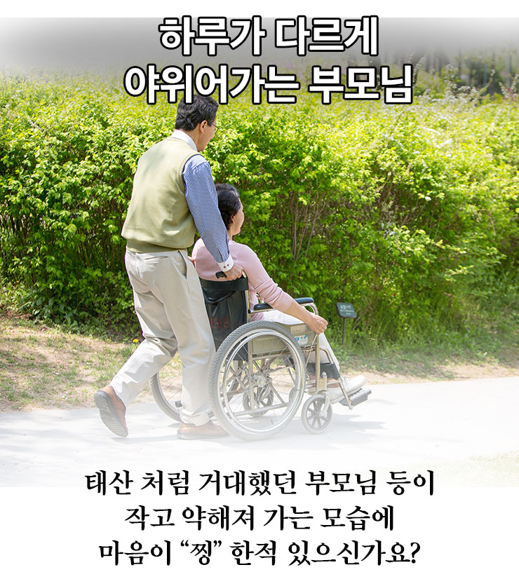 침향환 효능