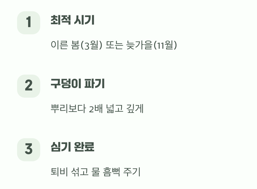 성공적인 첫걸음, 옮겨 심기