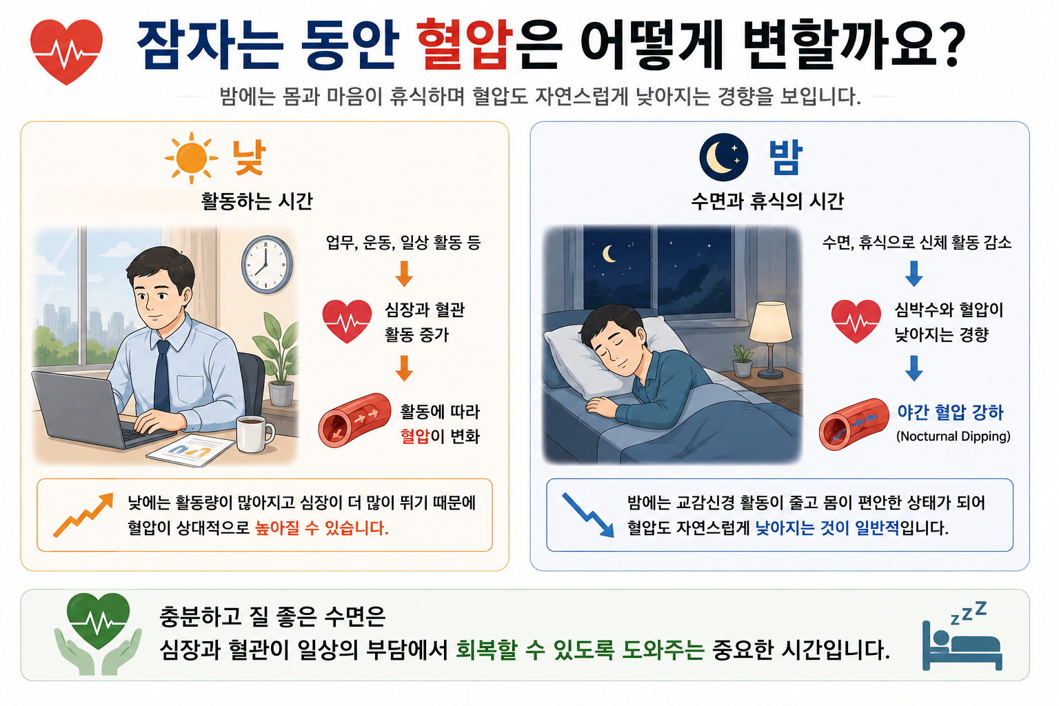 깨어 있는 시간과 수면 중 혈압 변화를 설명하는 개념도