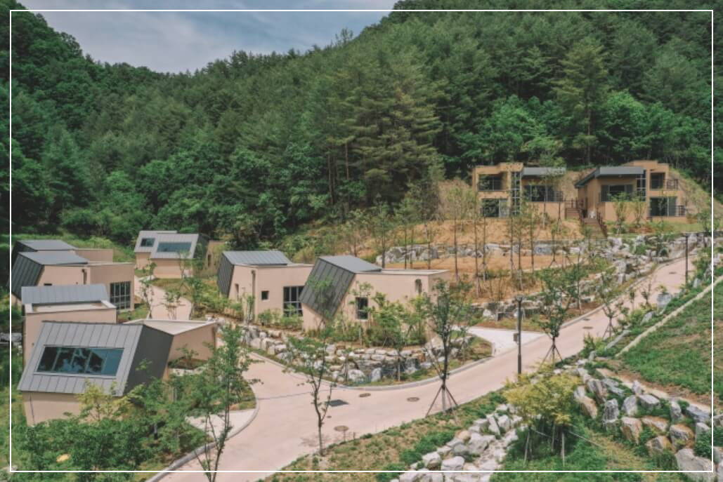 울진 가볼만한곳 베스트10 금강송 에코리움·금강송 숲길