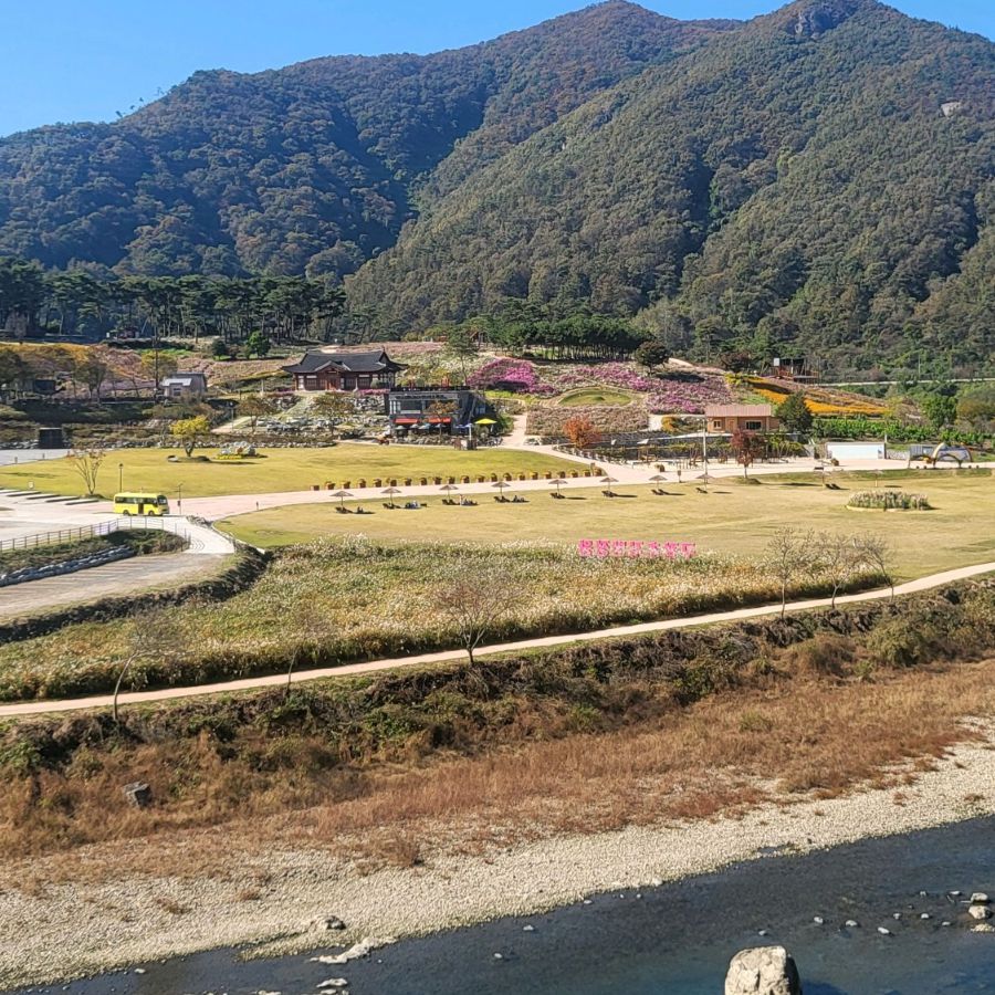 정읍구절초지방정원