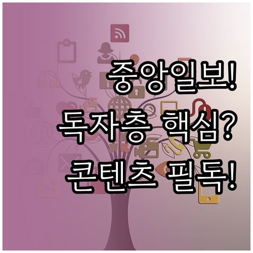 중앙일보 중앙데일리 콘텐츠 성격 및 ..