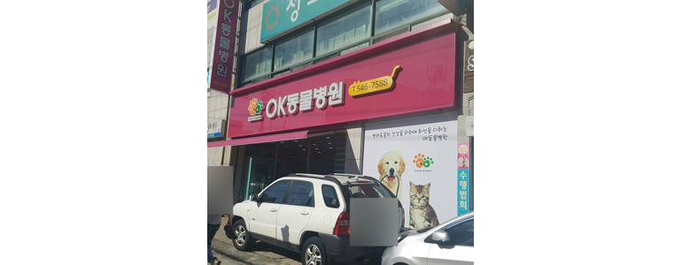 창원 진해구 동물병원