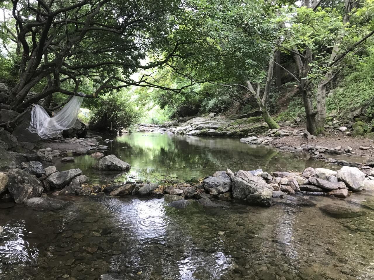 [여름휴가추천]경기도에서 꼭 가봐야 할 여름 계곡 추천 Best 6