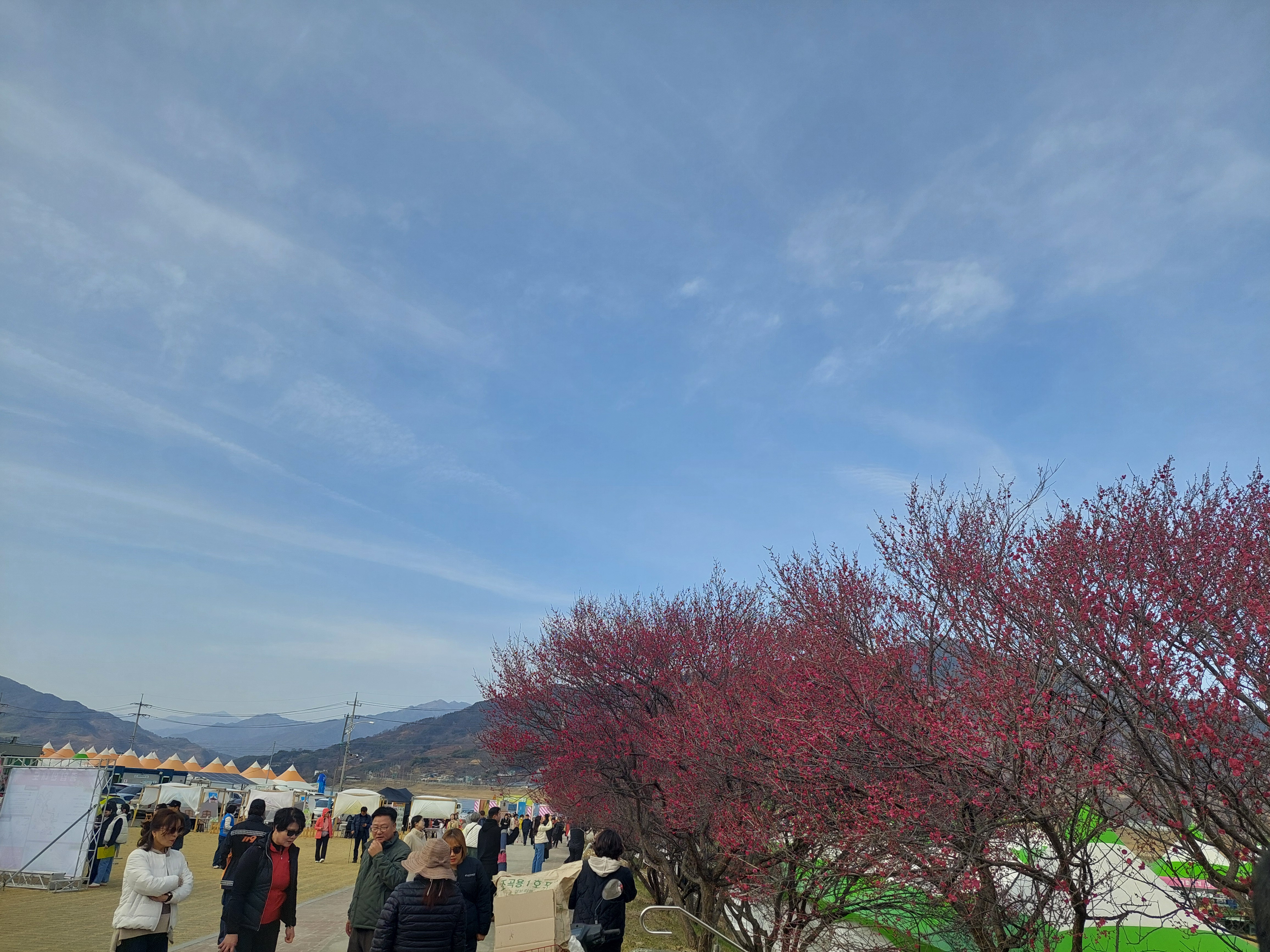 쫓비산