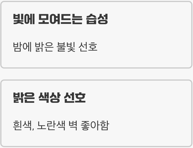 불빛과 밝은 색이 부르는 유혹