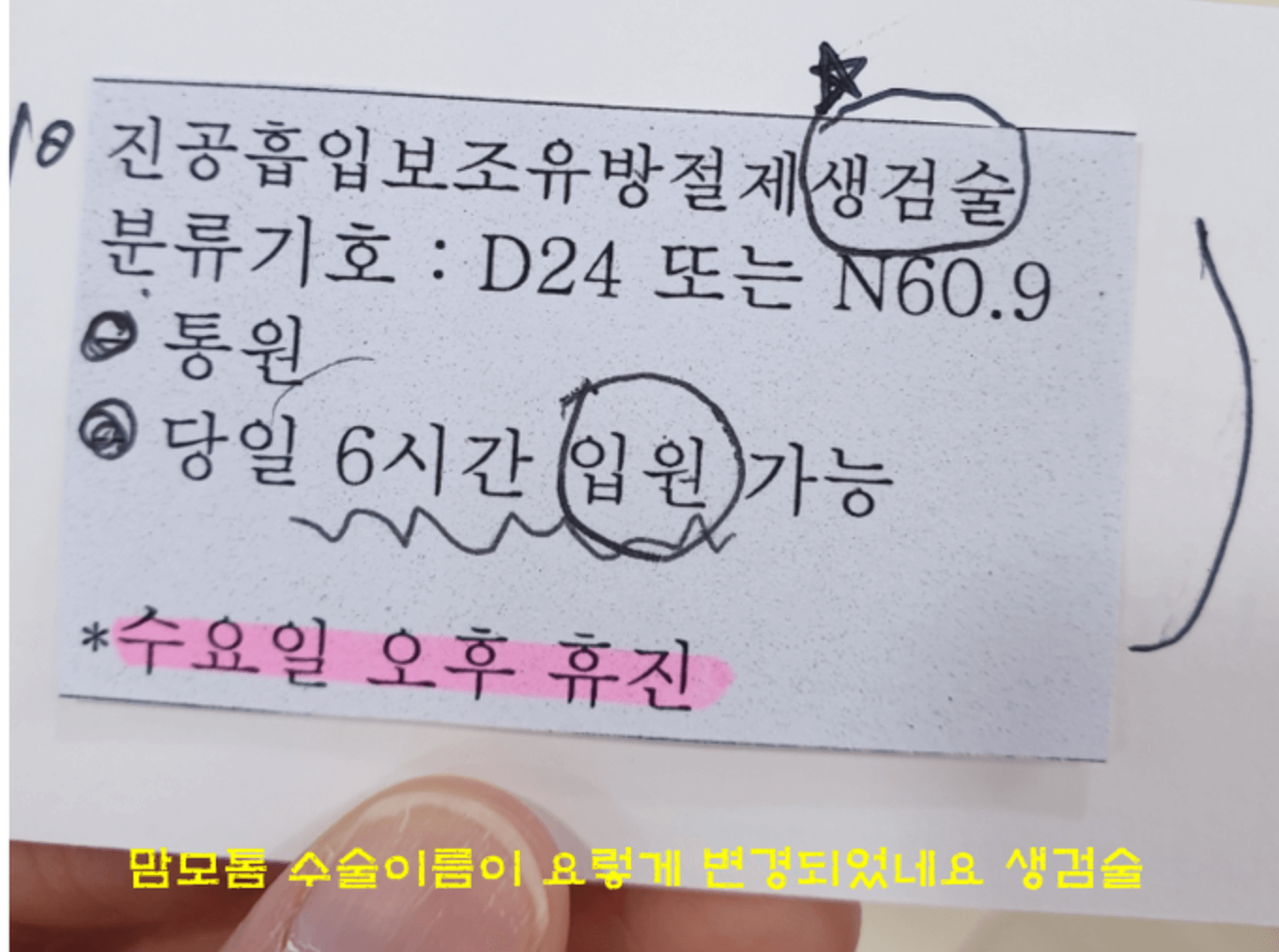 보험사 채크
