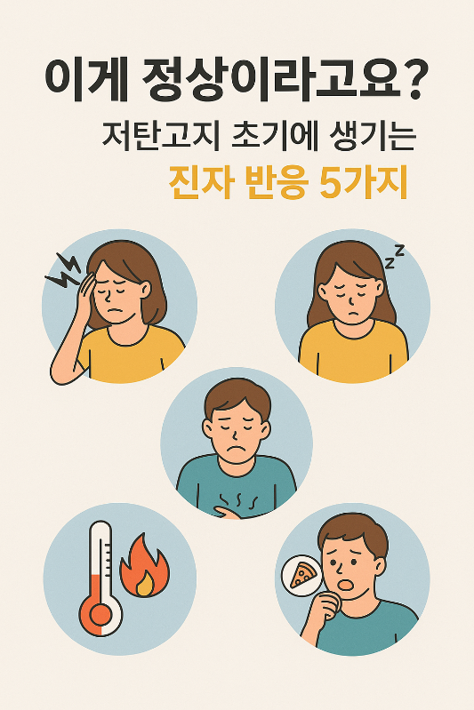 저탄고지 시작 후 흔히 나타나는 몸의 변화를 상징적으로 표현한 일러스트. 두통, 복통, 피로, 체온 상승, 식욕 증가를 각각 사람의 표정과 아이콘으로 묘사하고 있다.