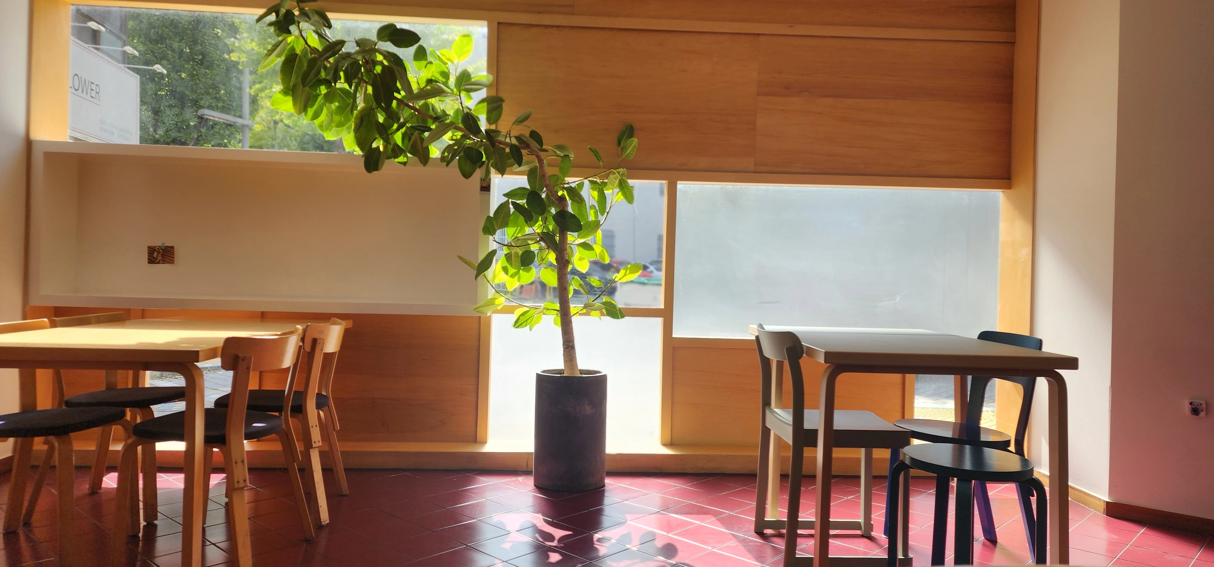 카페 내부, 키 큰 식물, 창문