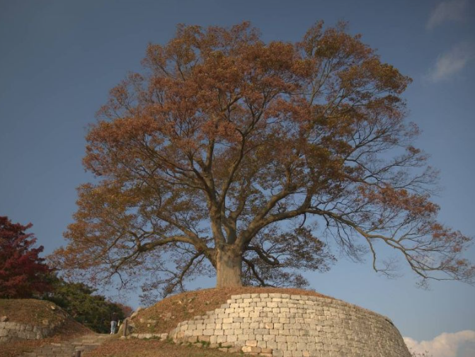 부여 가볼만한곳 베스트10