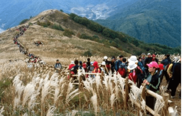 가을여행 단풍 기차여행 추천