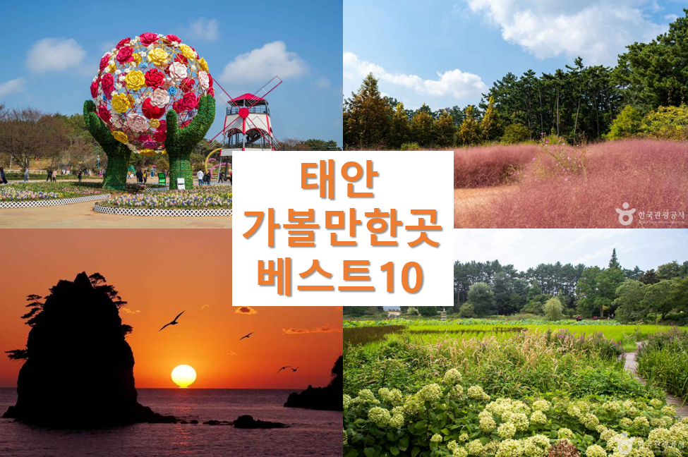 태안 가볼만한곳 베스트10