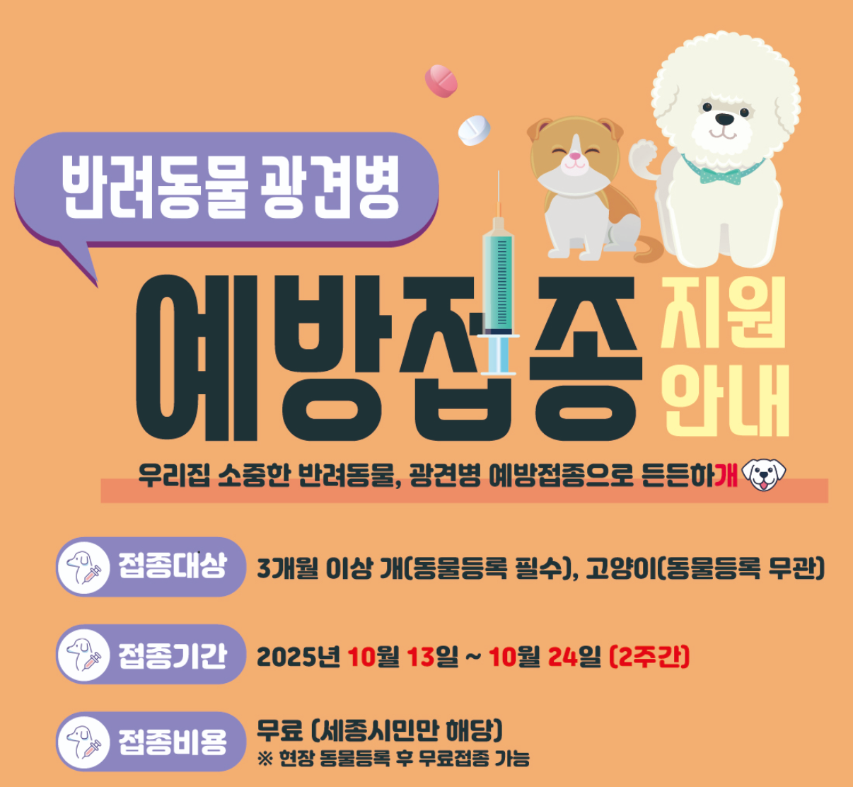 2025년 하반기 세종시 반려동물 광견병 예방접종 무료 지원 대상·기간·병원 리스트
