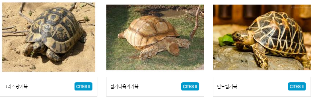 구미 쥬쥬동산