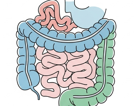 마이크로바이옴 관련 사진