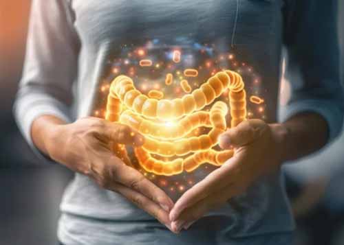 유전자·장내 세균 분석 기술의 진화