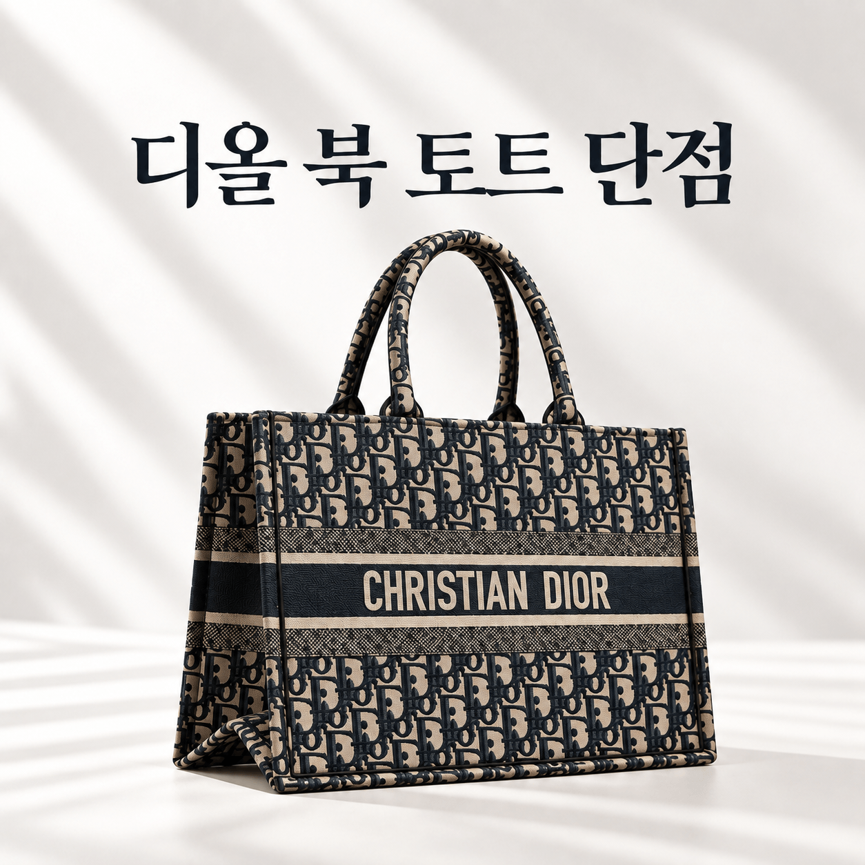 디올 북 토트 단점
