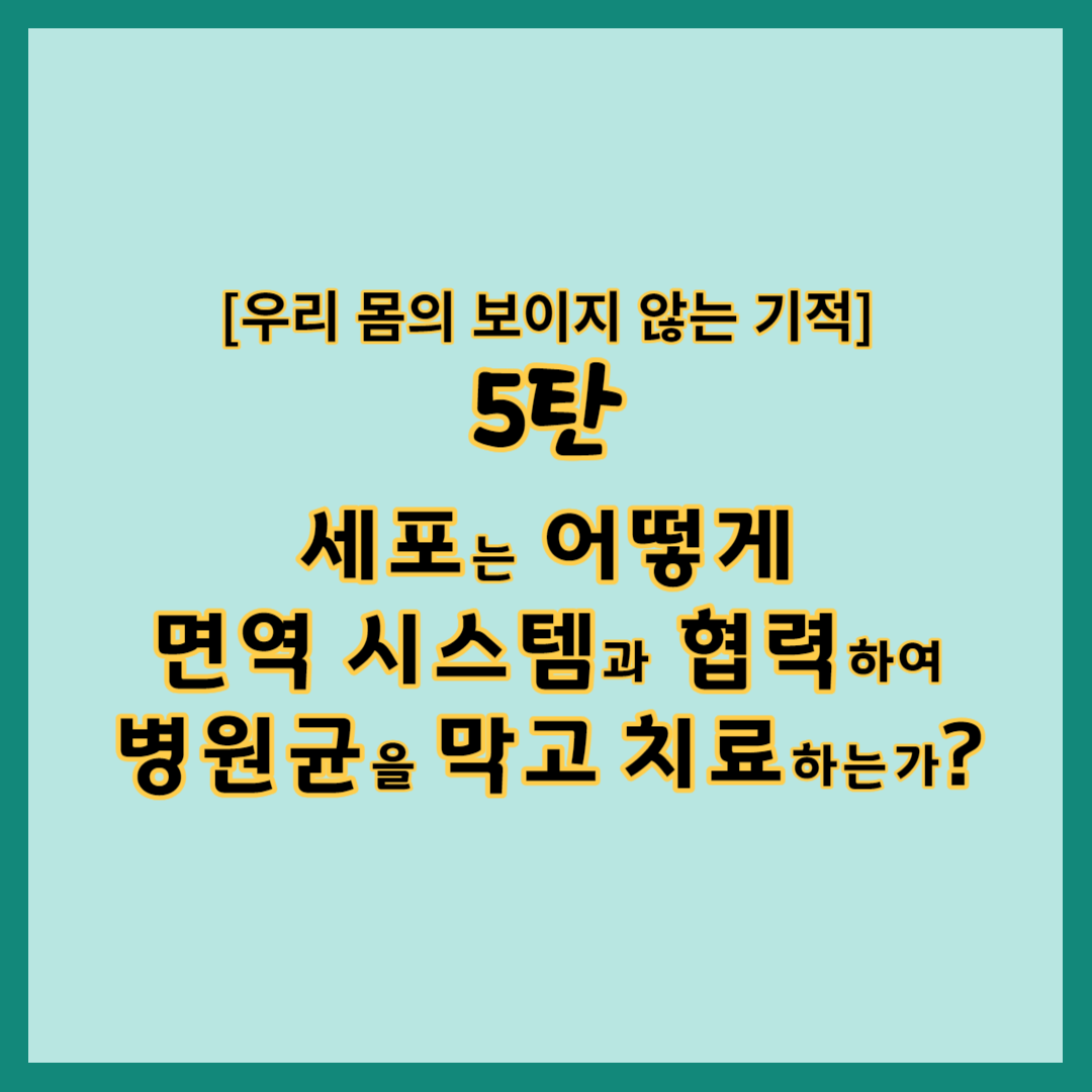 우리 몸의 보이지 않는 기적 5탄 세포는 어떻게 면역 시스템과 협력하여 병원균을 막고 치료하는가?, 선천 면역에서 세포가 병원균을 인식하고 제거하는 방법, 후천 면역에서 세포가 항체를 생성하고 기억하는 방법, 염증에서 세포가 병원균을 격리하고 치료하는 방법, 면역 시스템의 중요성과 기능