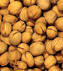 호두 효능과 부작용 하루섭취량 먹는방법 고르는법