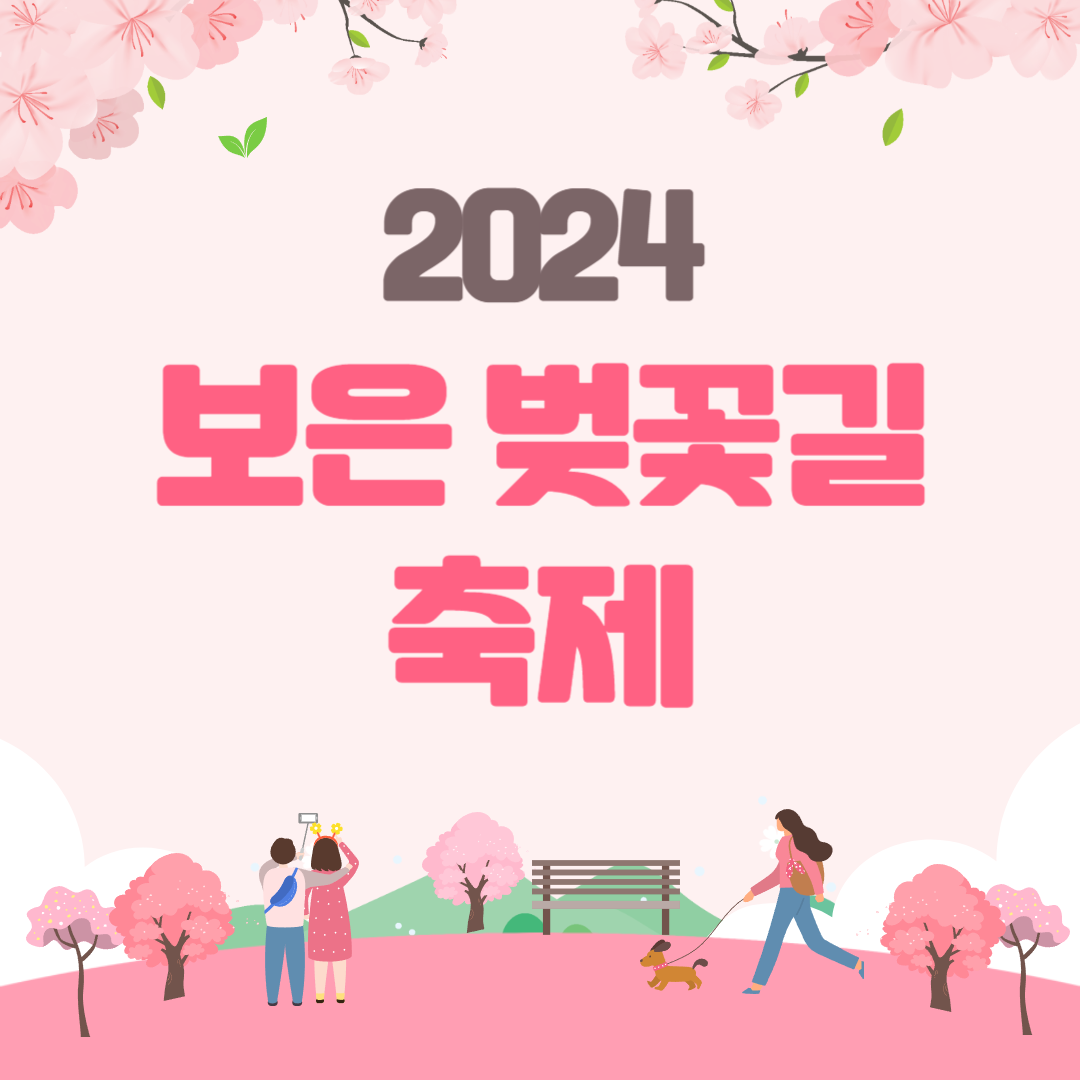 2024 보은 벚꽃길 축제 소개