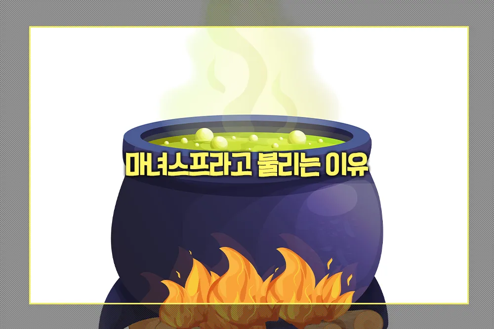 마녀스프라고 불리는 이유