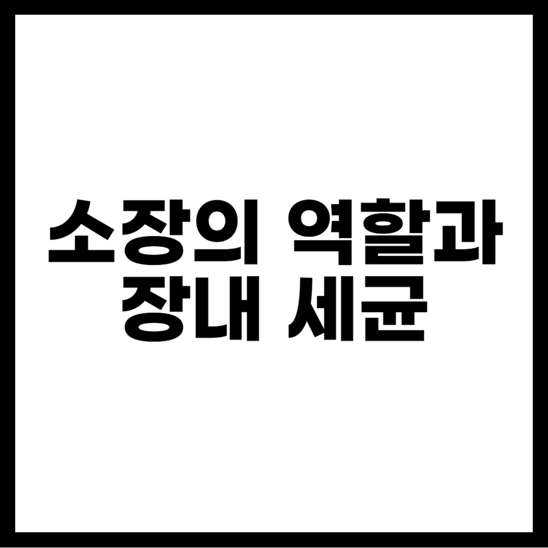 소장의 역할과 장내 세균
