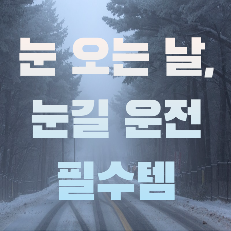 눈길 운전 필수템