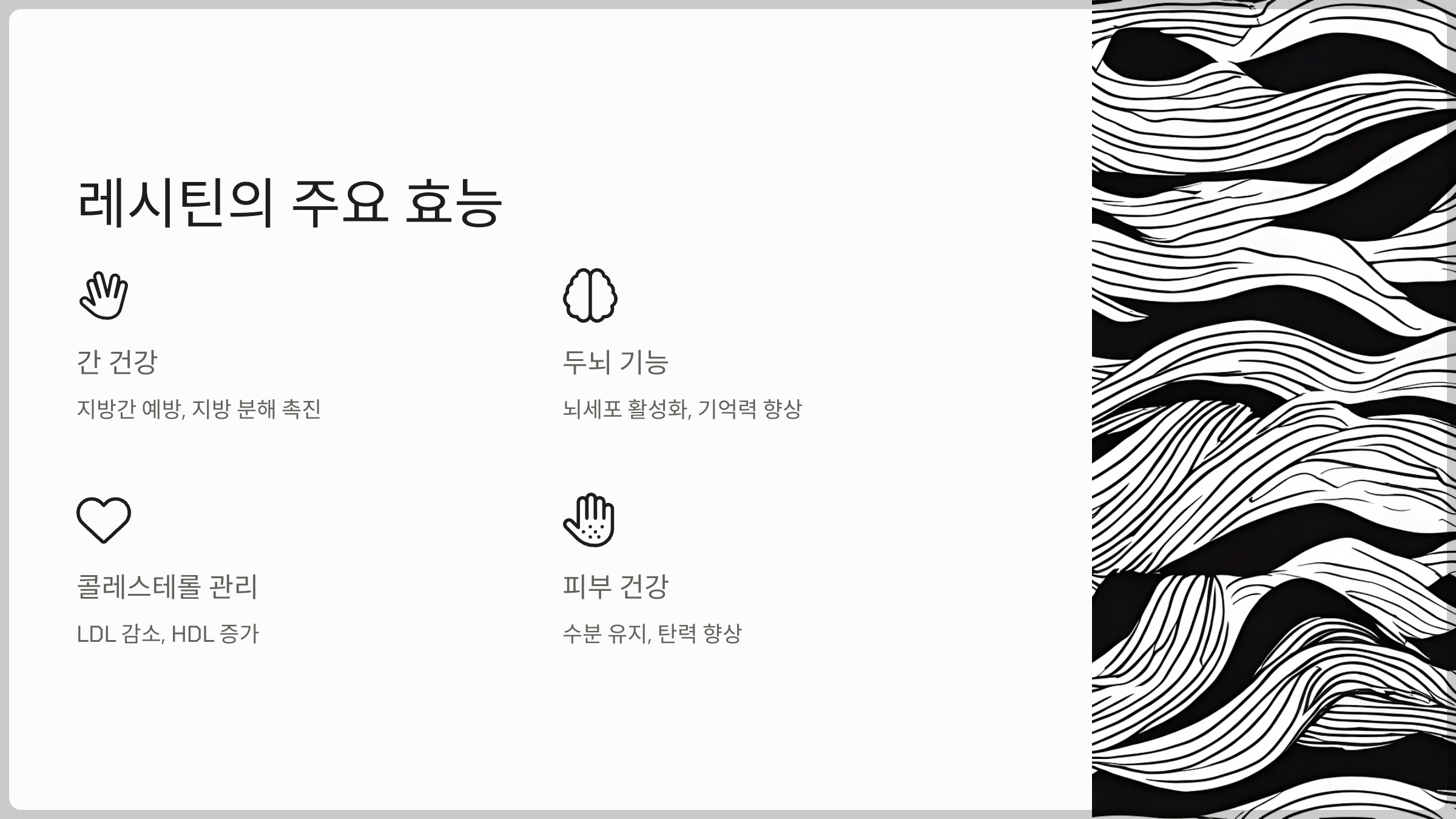 레시틴 영양제