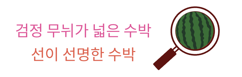 수박 고르는 방법1