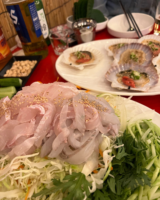 서울 도다리 회 세꼬시 맛집 추천 세민수산 이레상회 홍초장 까치산역 막회집 노량진수산시장횟집 동어동락 대찬횟집 손선장 푸른바다 마실 목포명가